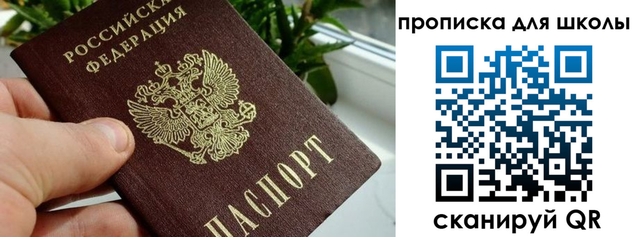 регистрация для дет. сада в Михайловке
